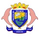 Instituto Angeli